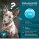 thumbnail image 5 of Juguete Interactivo OurPets IQ con Dispensador de Comida 10 cm para Perro, 5 of 8