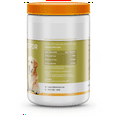 POINTPET Probiotics for Dogs Natural Probiotic Supplement with