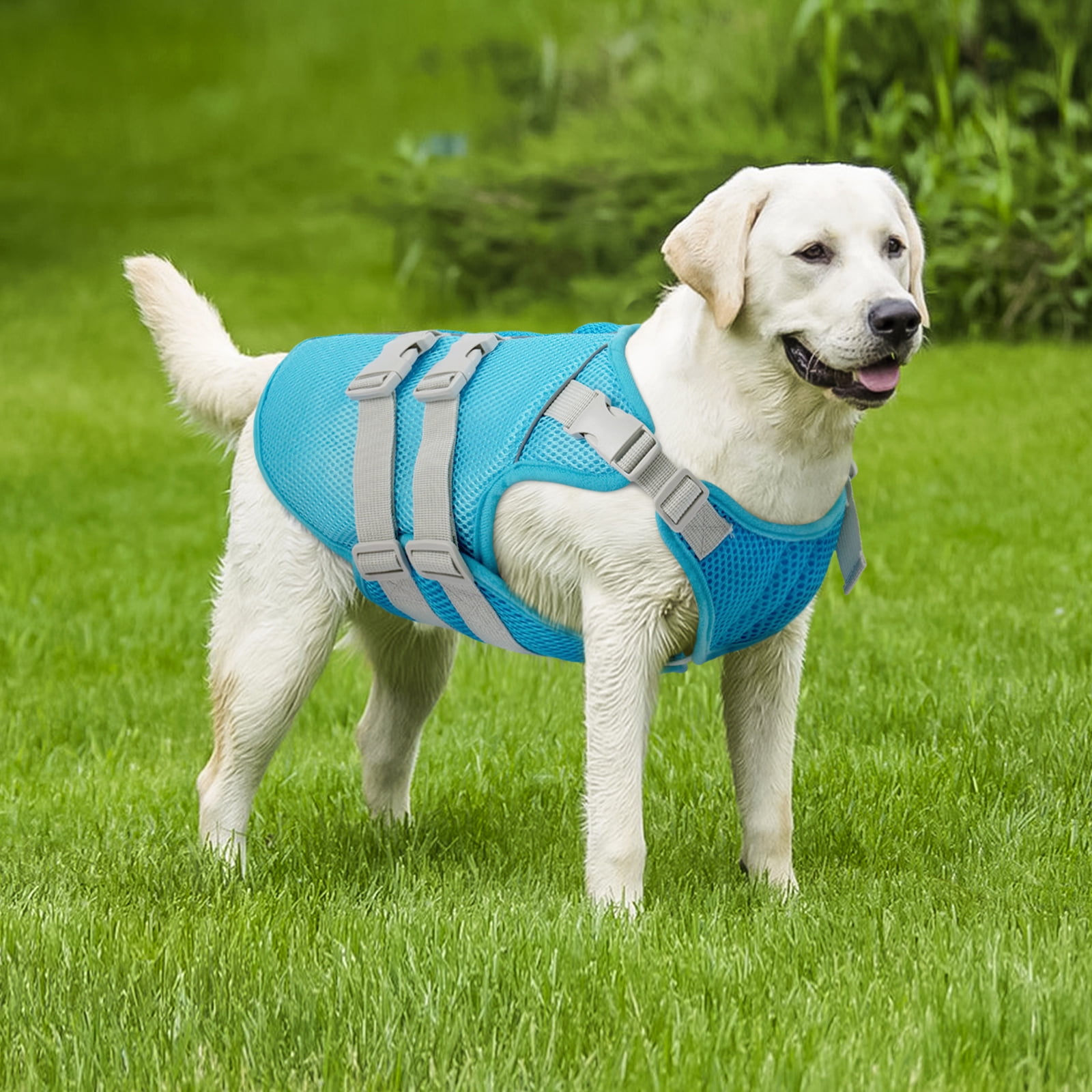 Kuoser Dog Cooling Vest, Breathable Mesh Cooling Jacket for Dog, Blue, XXL