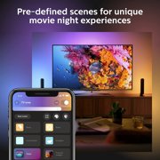 Philips Hue Play White & Color Smart Light Extension