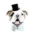thumbnail image 3 of SD Graphics Studio 12x12 Black Modern Framed Museum Art Print Titled - Top Hat Dog, 3 of 5