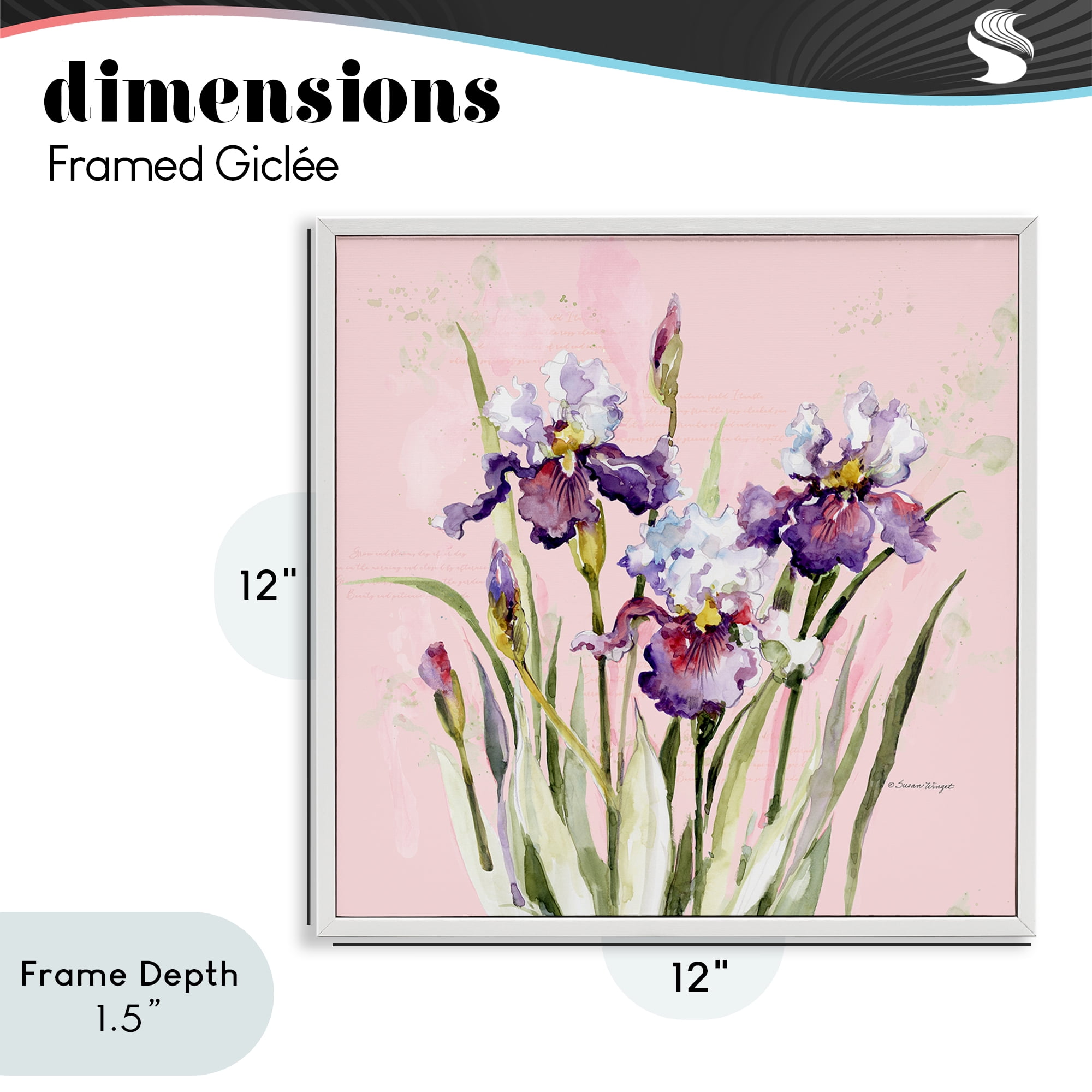Stupell Industries Purple Irises on Pink White Framed Giclee Art, design by Susan Winget