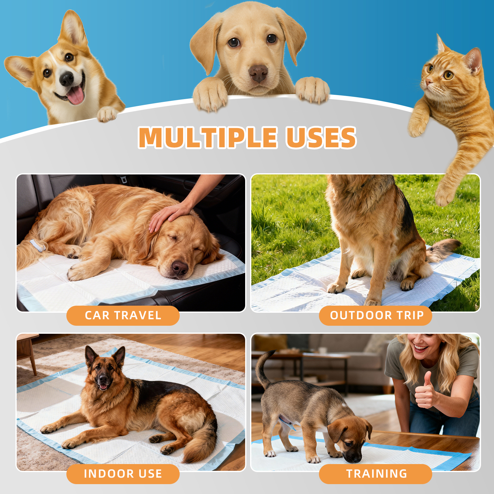 BIGGMED Puppy Pads, 28" x 34", 50ct, Extra Large photo 4