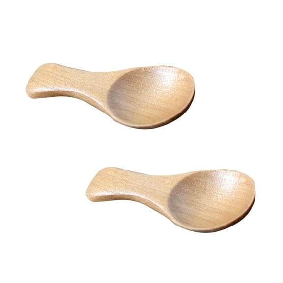 WRISTBIQUE 2Pcs Small Scoops For Canisters Ice Cream Scooper Short Handle Spoon Material