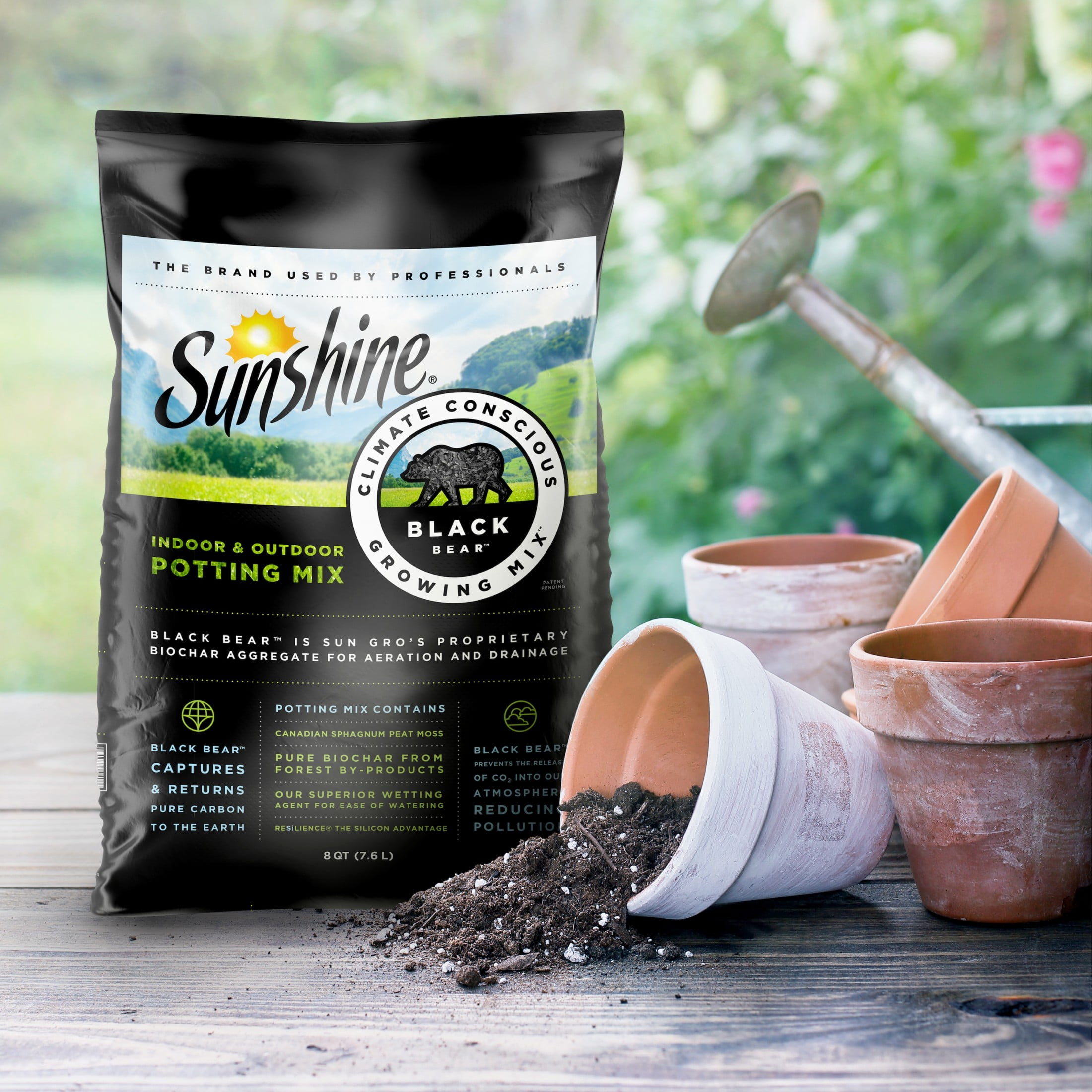 Sunshine Black Bear Indoor Climate Conscious Indoor Outdoor