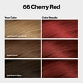 thumbnail image 5 of Revlon ColorSilk Permanent Hair Color, Bond Repair Complex, 66 Cherry Red, 1 pack, 5 of 15