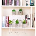 thumbnail image 5 of Plantas suculentas artificiales Linda pierna colgante Oso Falso Suculenta Planta en maceta Decoración para el hogar Oficina Dormitorio Sala de estar Escritorio Estantería Juego de 1, 5 of 5