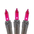 thumbnail image 4 of Novelty Lights Pink 100 Light Incandescent Mini Christmas String Lights Brown Wire 50 Feet, 4 of 6