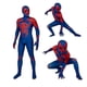 thumbnail image 1 of Disfraz de Spider-Man 2099 para niños y adultos, mono de fiesta, disfraz de Spider-man: Across The Spider-verse, 1 of 4