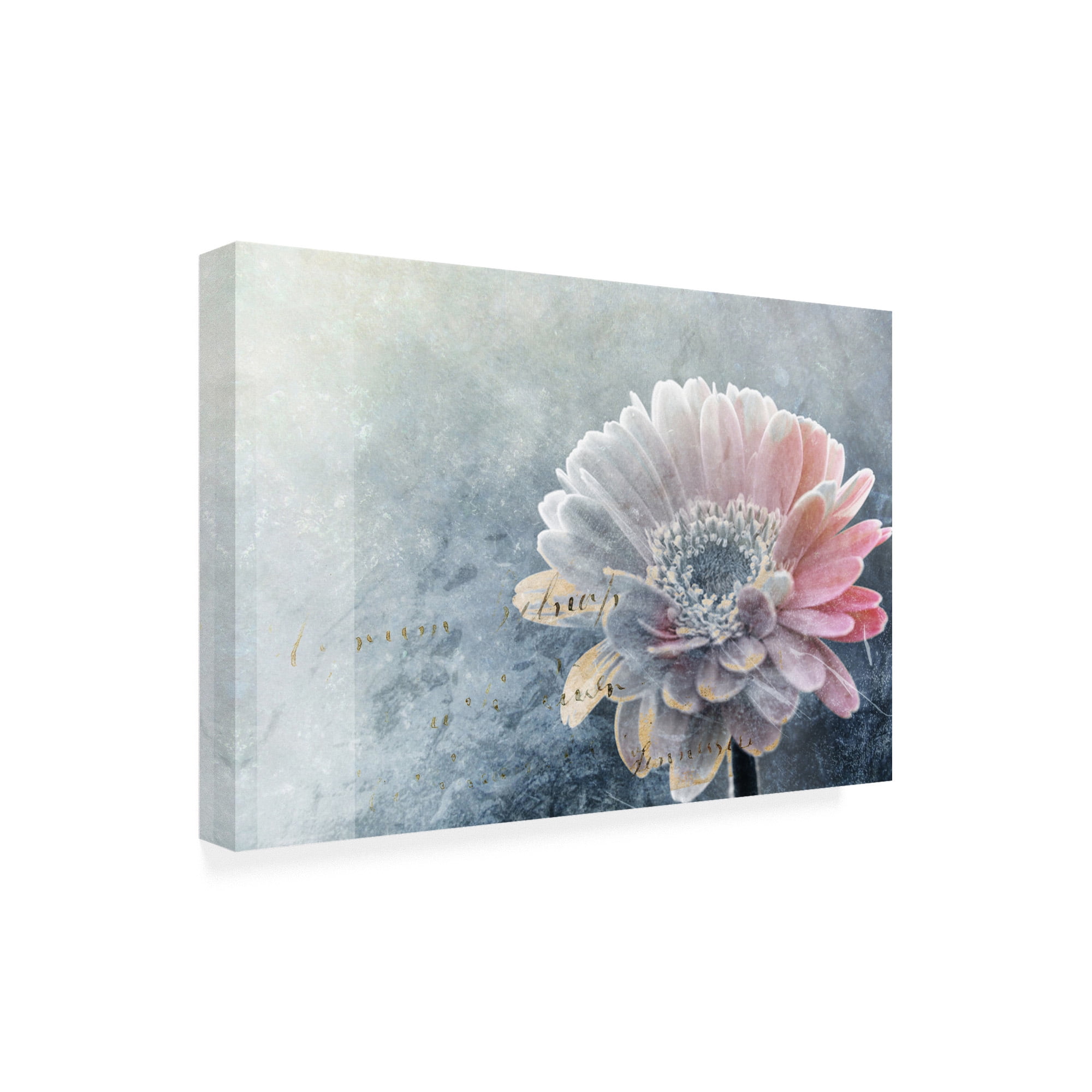 Trademark Fine Art 'Winter Flower' Canvas Art by Incado