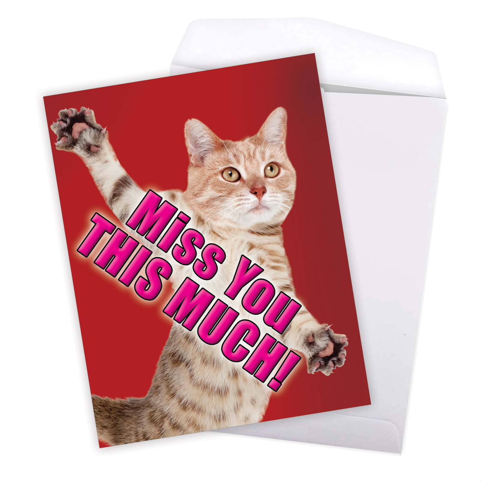 1 Jumbo Funny Miss You Greeting Card ( x 11 Inch) - Miss You This  Much-Cat Miss You Card J2580MYG 
