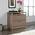 thumbnail image 2 of Sauder International Lux 2 Drawer Lateral File Cabinet in Diamond Ash, 2 of 11