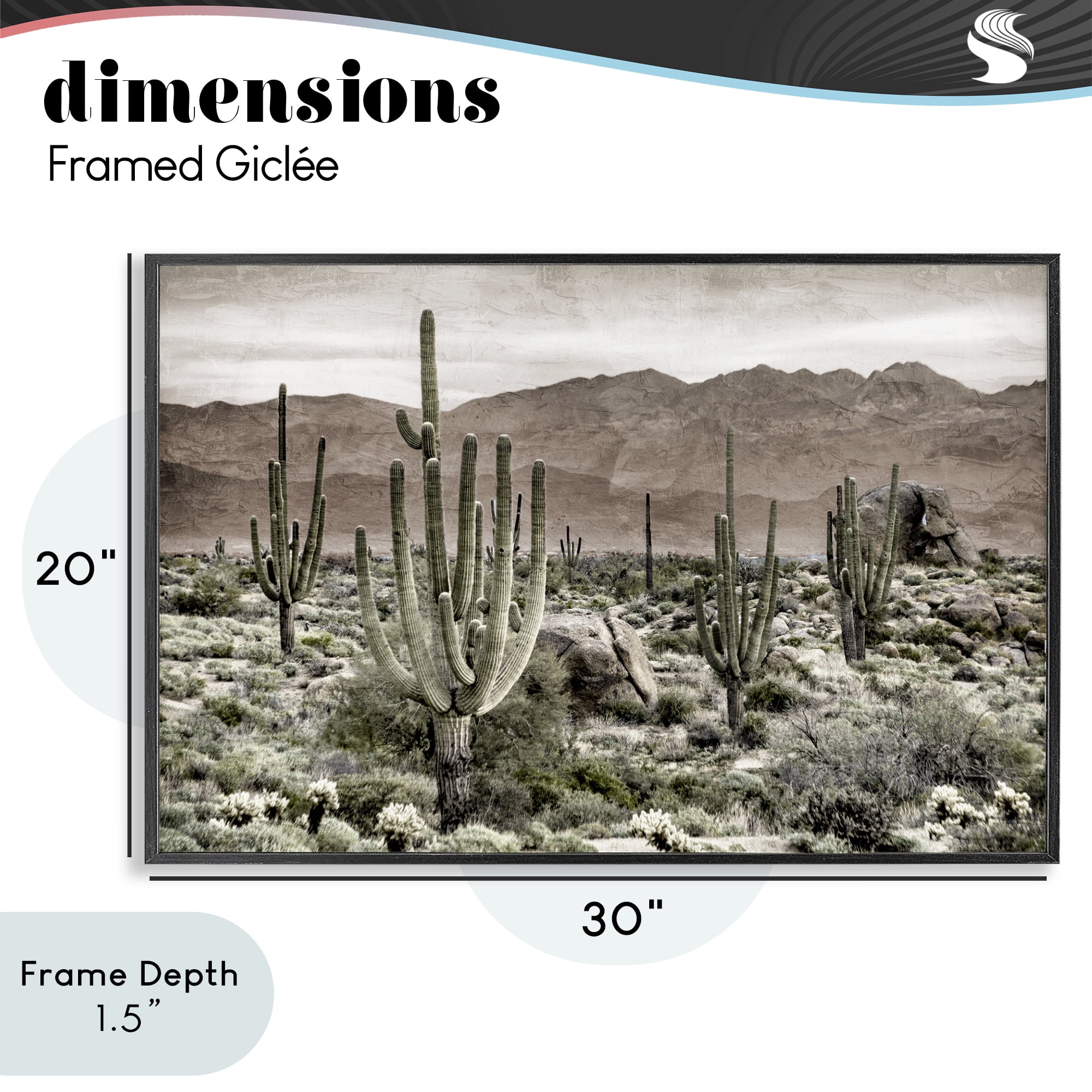 Stupell Industries Desert Land Cacti Wilderness Black Framed Giclee Art, design by Kim Allen