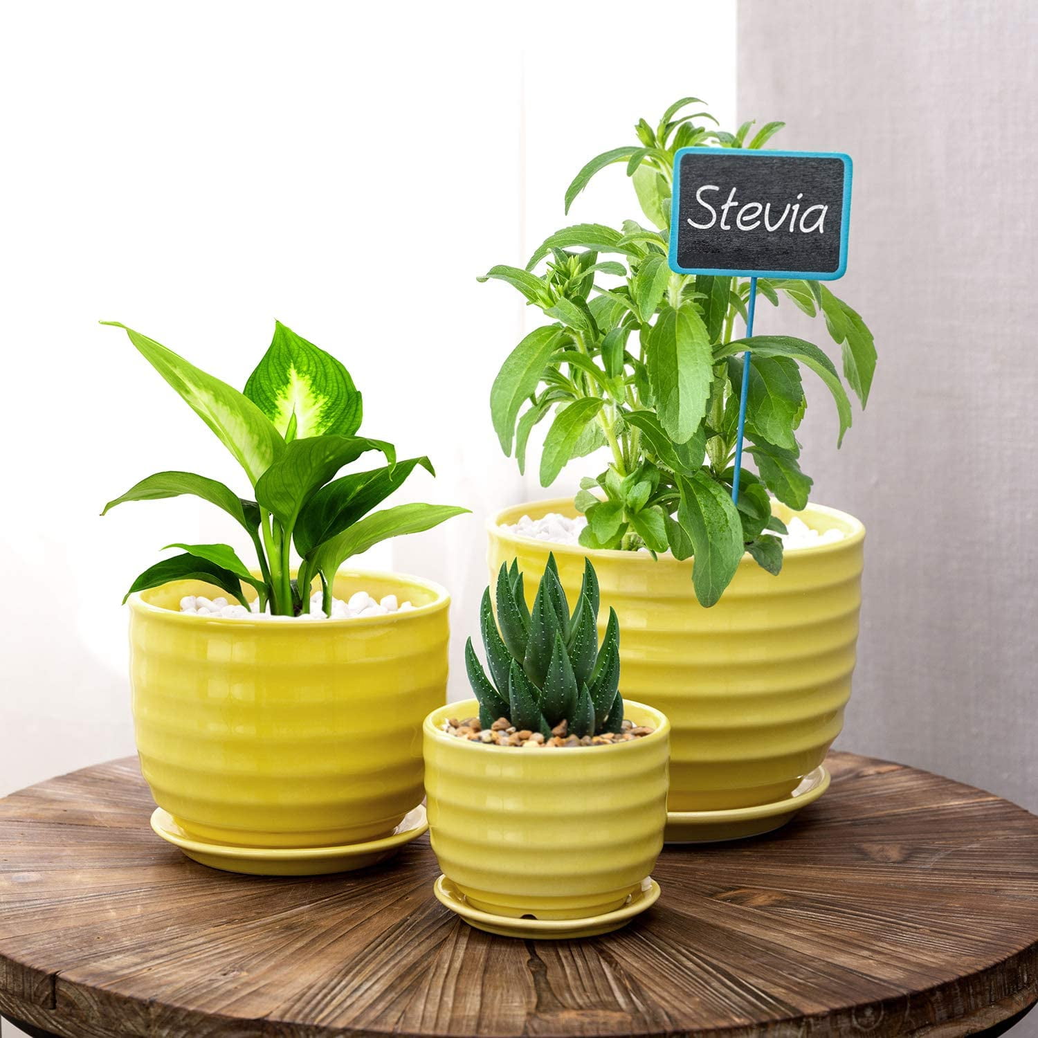 MyGift Set of 3 Small to Medium Sized Yellow Round Modern Ceramic