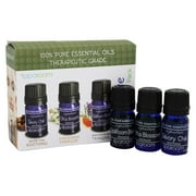 SpaRoom - 100% Pure Essential Oils Signature Blends Sensory - 3 Bottle(s)