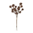 thumbnail image 2 of Vintage Burdock Ball Artificial Floral Stems - Dried Chestnut Branch Picks Vase Filler Farmhouse Home Decor Accessories Boho Table, Bronze, Ccwuwei, 2 of 7
