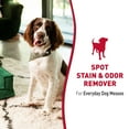 thumbnail image 4 of Nature's Miracle Dog Stain and Odor Remover for Carpet, Hard Floors, Fabric and Furniture, 1 gal., 4 of 11