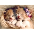 thumbnail image 2 of Casse-Tête Trefl Chatons Endormis 500 Pcs 48x33 cm, 2 of 7