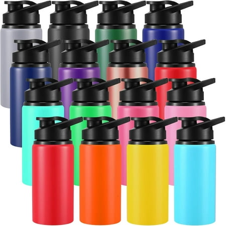 16 Pcs 17 oz Aluminum Water Bottle Bulk Multicolor Reusable Sports Bottle with Snap Lids Multipack Vacuum Water Flask for Travel Camping Picnics Gym Hiking Cycling Fishing