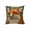C, variant on Cinvoph 18"x18" Throw Pillow Covers Decorative Cute Animal Pillow Cases Soft Winter Hoilday Couch Cushion Case for Chair Sofa Bedroom Living Room Home Decor