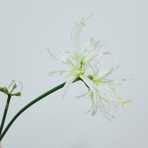 5 Pcs Spider Lilies Artificial Lycoris Bulbs With Long Stem Real Touch For Home Office Hotel Living Room Decoration