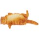 thumbnail image 1 of ColoMX Modelo de animales gatos Simulación de modelo de gato real, 1 of 7