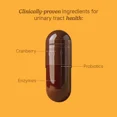 thumbnail image 4 of Santo Remedio Urinary Tract, Dietary Supplement, Helps Reduce Urinary Tract Infections, Unique Formula with Cranberries, Probiotics, and Enzymes, Clinically Proven Ingredients, Non-GMO, 30 Servings, 4 of 9