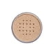 thumbnail image 2 of Polvo suelto Covergirl clean professional 110 translucent light 20 g, 2 of 3