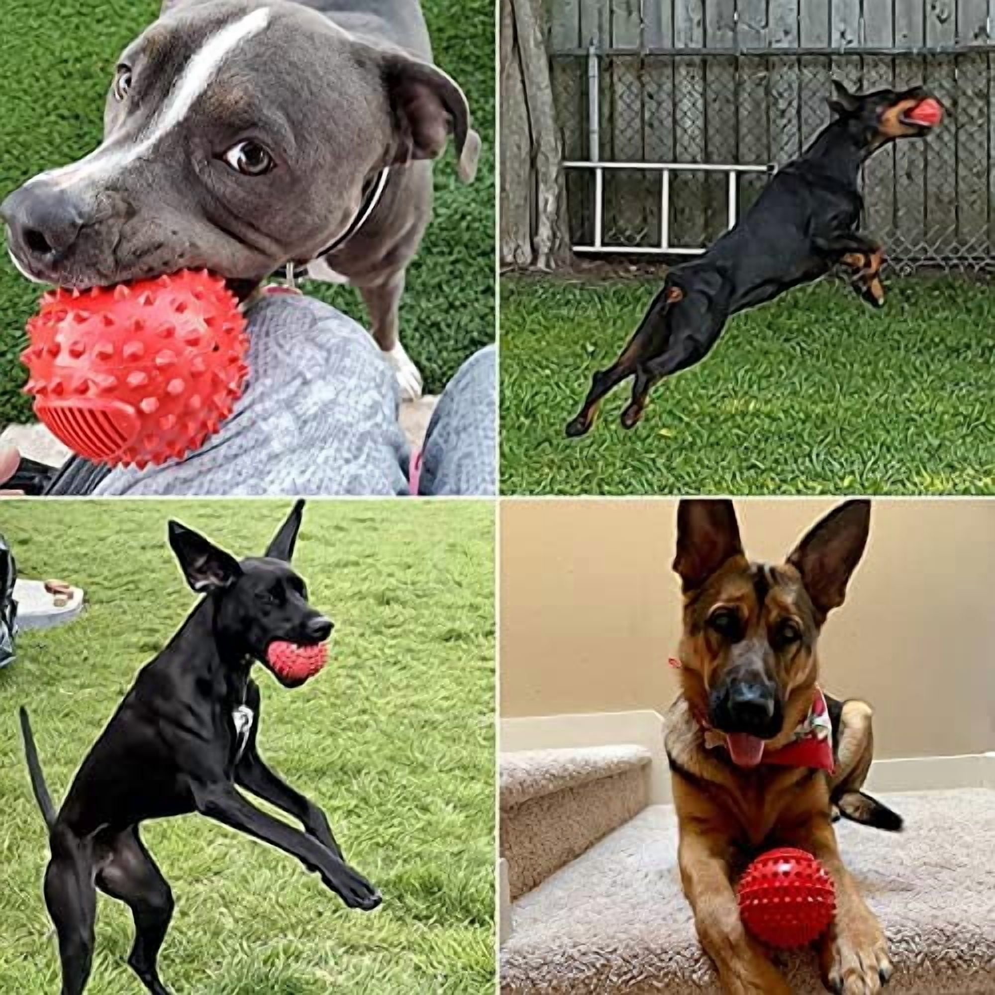 4" Squeaky Dog Balls for Aggressive Chewers, Durable Interactive Dog Chew Toys for Teething, Floatable Indestructible Rubber Spiky Ball, Tough Pet Toys for Small, Medium & Large Breeds