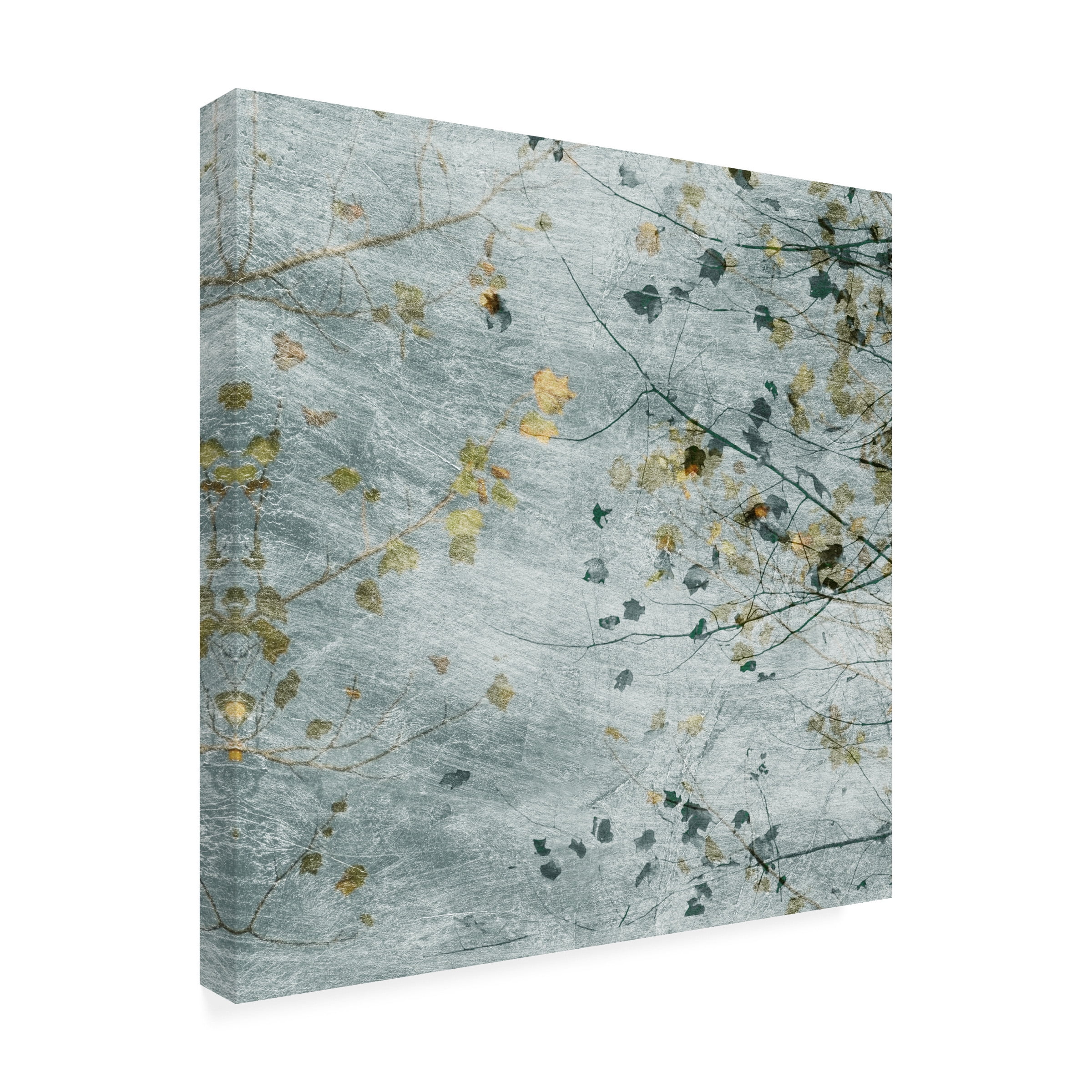 Sharon Chandler 'Seasonal Transition III' Canvas Art
