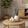 thumbnail image 6 of Mainstays Artificial Green Eucalyptus in White Ceramic Vase, 23", 6 of 7