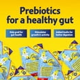 thumbnail image 3 of Nutritional Designs, Prebiotic Nana Flakes with Inulin, 100% Pure Banana Flakes, Gut Health, High Protein & Fiber, Natural Diarrhea Remedy, IBS Relief, for Adults & Kids 4+ (25 Single-Serve Packs), 3 of 7