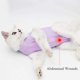 thumbnail image 5 of Traje de recuperación profesional para heridas abdominales y enfermedades de la piel, alternativa de collar electrónico para gatos y perros, uso antilamido después de la cirugía, recomendado por veter, 5 of 5