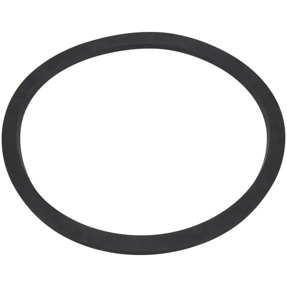 Spectra Premium LO146 Fuel Tank O-Ring