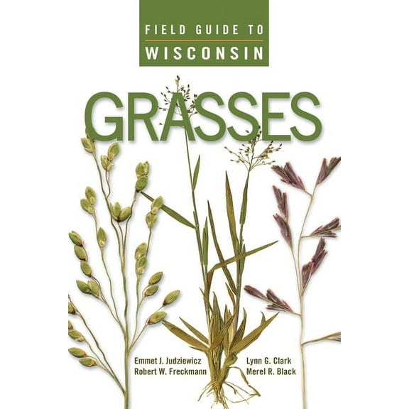 Field Guide to Wisconsin Grasses, (Paperback)