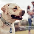 thumbnail image 2 of Dog Collar, Adjustable Training Nylon Dog Collar with Control Handle L, 2 of 5