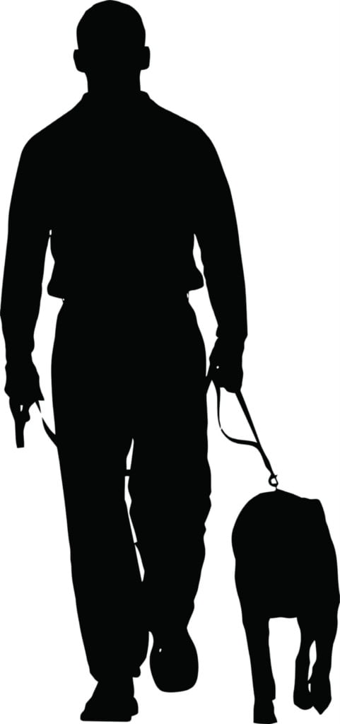 paw patrol walking dog with leash