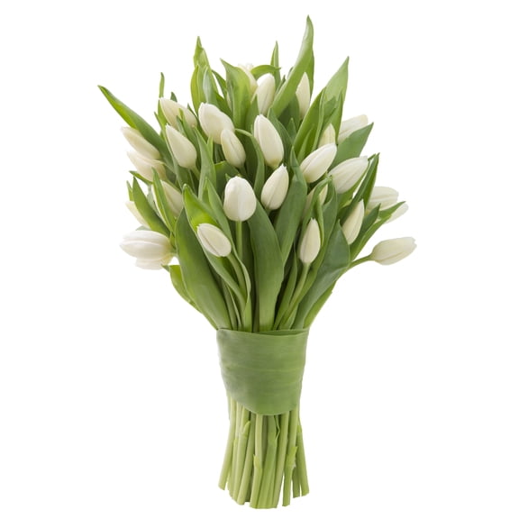 KaBloom : 20 White Tulips, Next-Day Delivery, Gift for Every Occasion