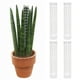 thumbnail image 1 of Tutor de Plástico para Plantas Monstera, Tutores para Plantas Trepadoras, Soporte para Plantas de Interior para Trabajar con Musgo Sphagnum, 1 of 4