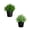 Assortment 1, variant on 6in. Artificial Grass Plant in Black Pot - Set of 2