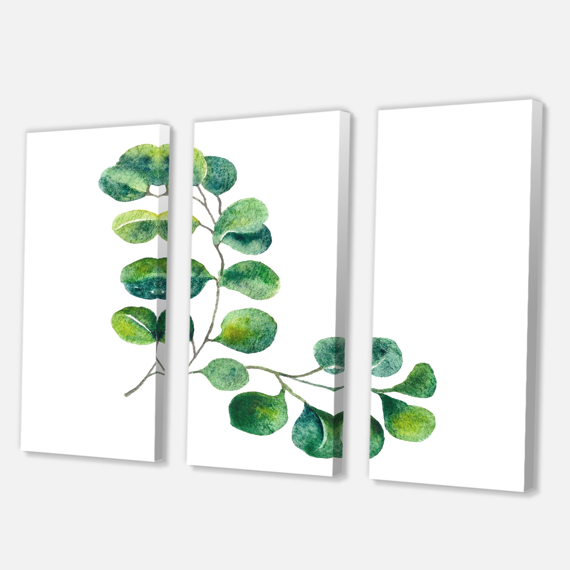 Designart ' Green Eucalyptus Plant Branches II ' Traditional Canvas Wall Art Print