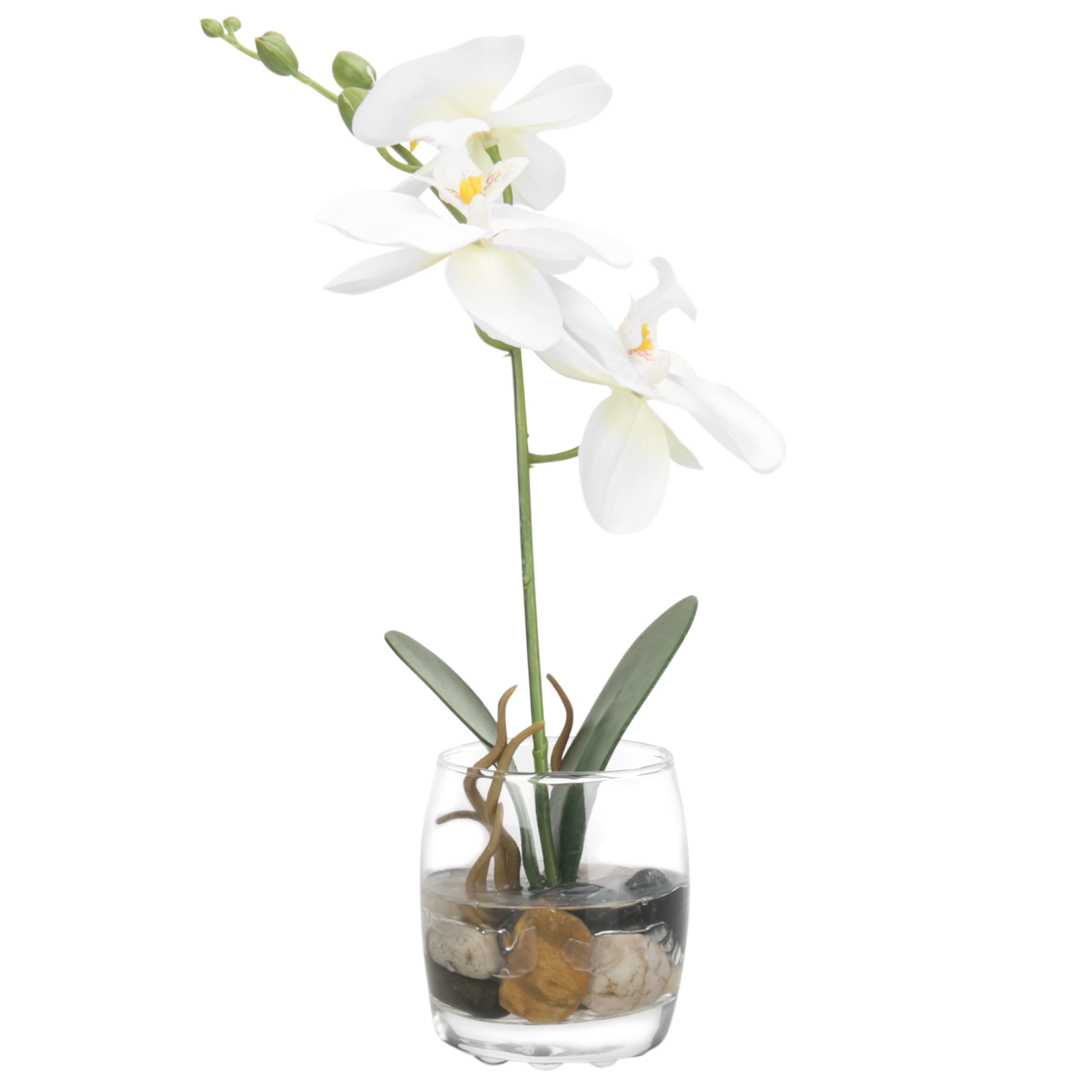 Mini Synthetic Silk Artificial White Phalaenopsis Orchid in Glass Vase