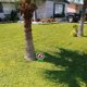 thumbnail image 5 of 4 Piezas de Carteles de Perro Sin Caca, por Favor, Sé Respetuoso, Carteles de CéSped para Perros Sin Caca, Carteles de JardíN Sin Caca de Perro, 5 of 6