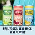 thumbnail image 3 of Deep Eddy Vodka, 6 Pack 355 ml Cans, 5% ABV, 3 of 8