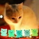 thumbnail image 2 of 30 figuras de gato en miniatura que brillan en la oscuridad, lindas figuras de gato pequeñas, pequeños animales de resina, gato, 2 of 5