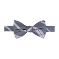 thumbnail image 1 of Ryan Seacrest - Pajarita imperial para hombre, color gris, talla única, 1 of 1