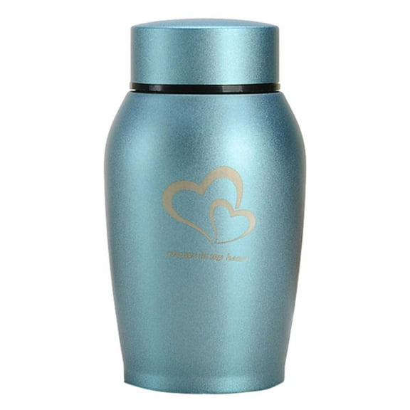 LILIANG Small Cremation Urn Jar Holder Keepsake for Human Pet Ashes Memorial Funeral Box