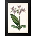 thumbnail image 2 of Curtis 17x24 Black Modern Framed Museum Art Print Titled - Lavender Florals III, 2 of 5