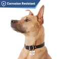 thumbnail image 4 of Etiquetas de identificación para mascotas GoTags de acero inoxidable para perros y gatos, texto de 8 líneas, 4 of 7