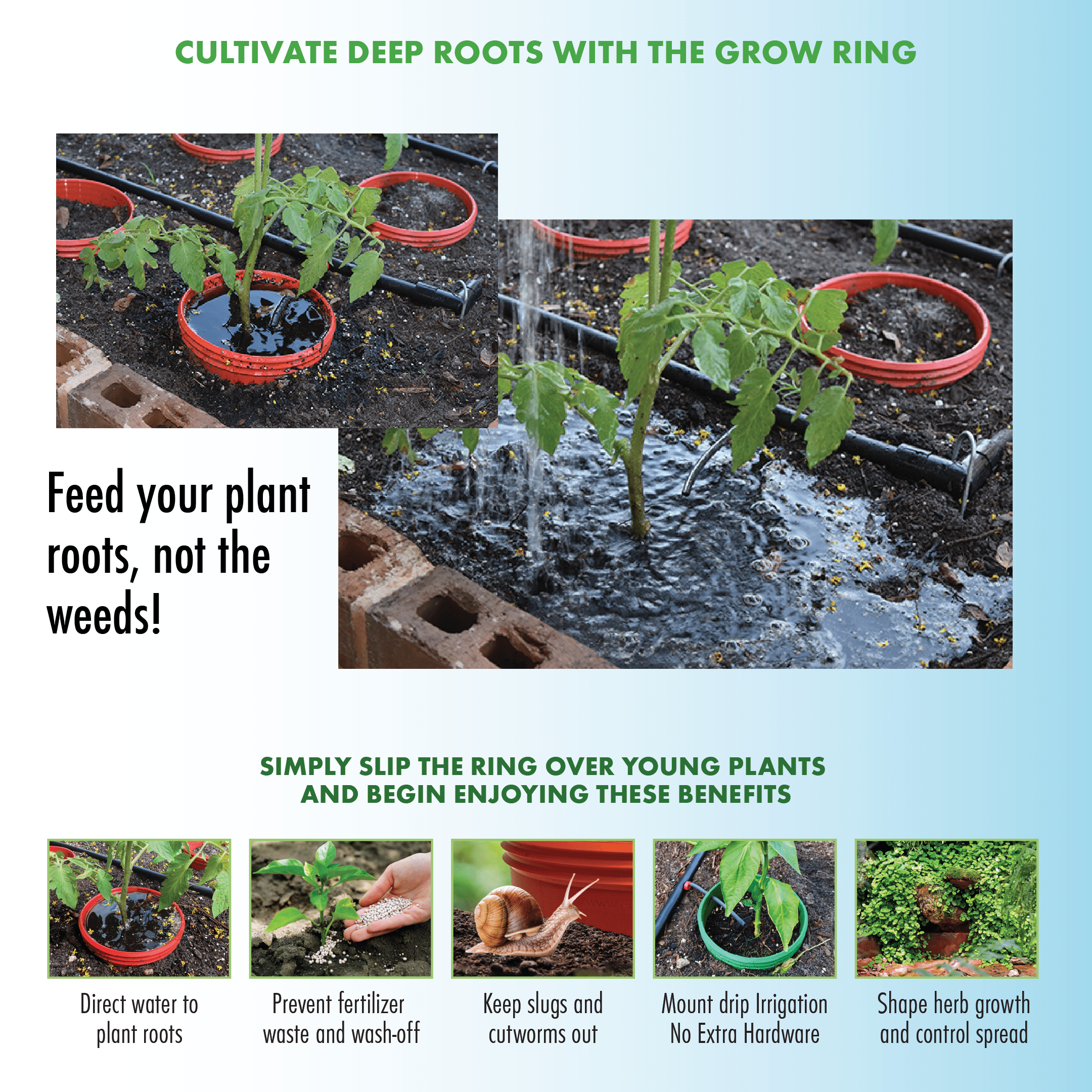 Rooted Promise Butterfly Garden Kit Kids Flower and Herb Seed Starter Kit with Grow Rings and Greenhouse Domes 2 Pack